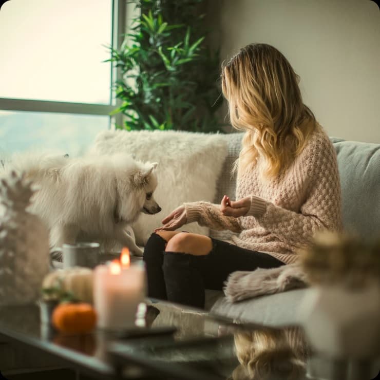 Woman petting dog